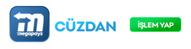 MegaPayzWallet