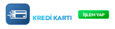 MegaPayzCard